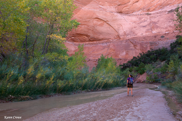 Hiker in the Lush Canyon