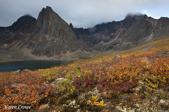 Fall in the Yukon