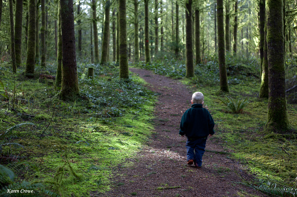 Boy Walking Through Forest